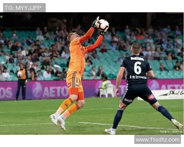 惠灵顿凤凰对阵墨尔本胜利精彩直播全程回顾与赛后分析 惠灵顿凤凰对阵墨尔本胜利精彩直播全程回顾与赛后分析