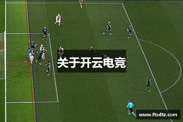 关于开云电竞